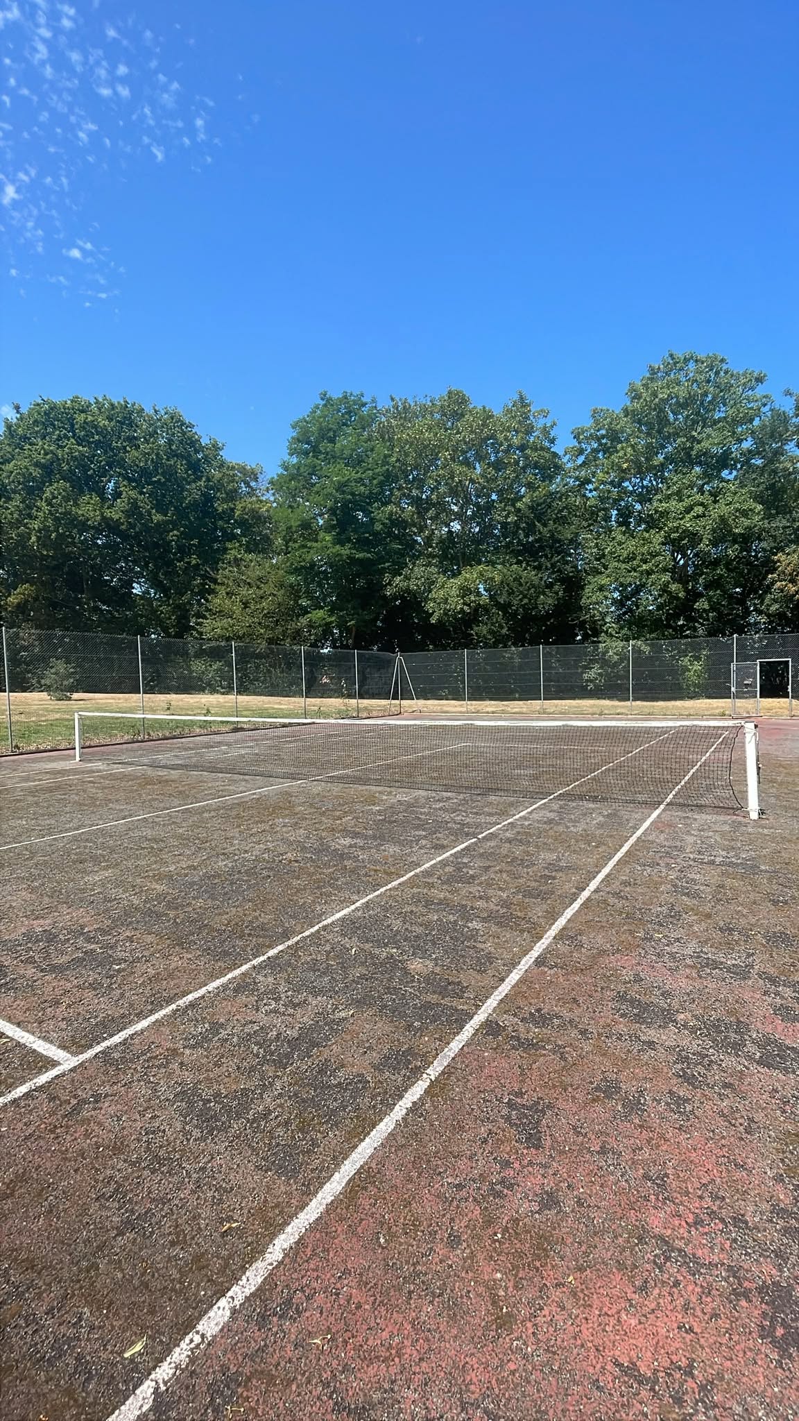 Terrain de tennis de Ryes entouré d'arbres